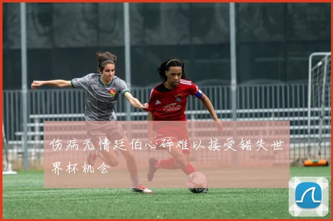 伤病无情廷伯心碎难以接受错失世界杯机会